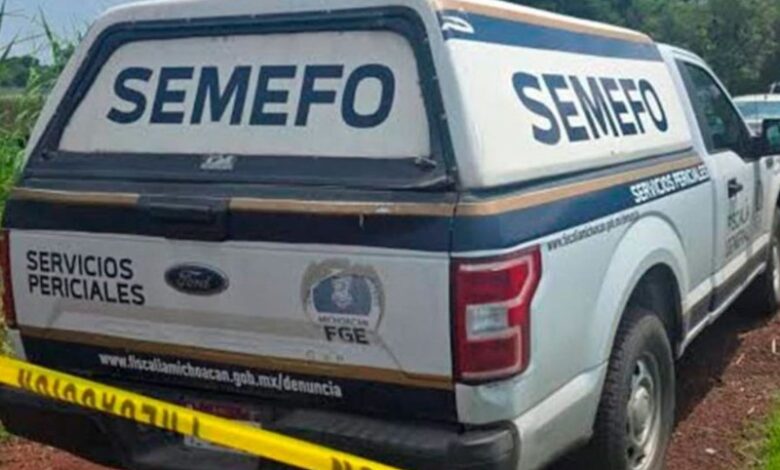 Camioneta del Semejo