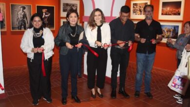SeCultura, Exposición