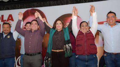 Cuarta Transformación, Fabiola Alanís