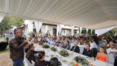 Estructura política, Luis Navarro