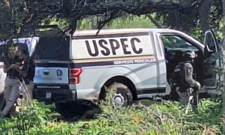 FGE