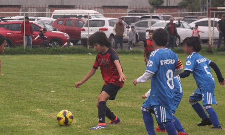 UMSNH, Liga Municipal
