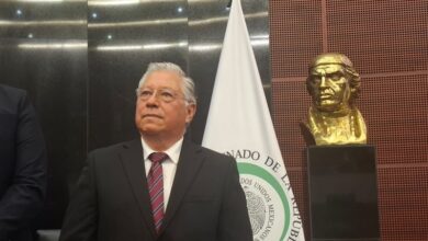 Luis Reyes Zavala, Senado de la República