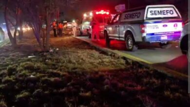 Morelia, accidente vial, atropellado