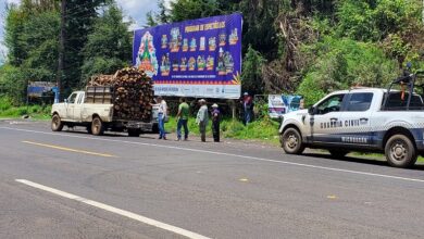 Comisión Forestal de Michoacán, Villa Madero, tala clandestina