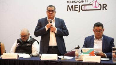 Elías Ibarra Torres