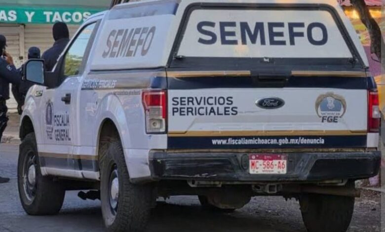 Camioneta del Semejo