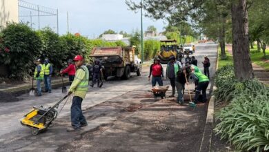 Reencarpetamiento en Avenida Montaña Monarca