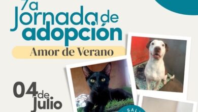 Jornada de Adopción