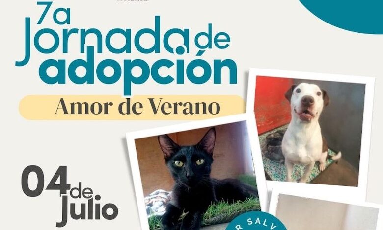 Jornada de Adopción
