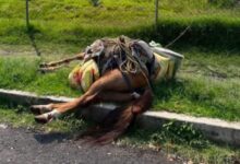 Caballo tirado