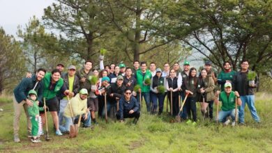 Ernesto Núñez en jornada de reforestación