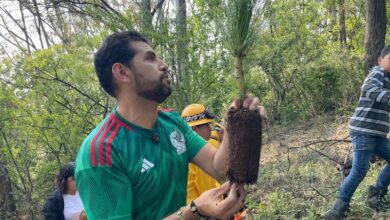 Octavio Ocampo en reforestación