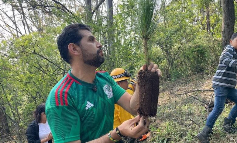 Octavio Ocampo en reforestación