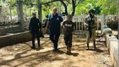 Detenido
