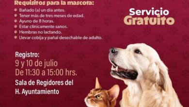 Campaña de esterilización
