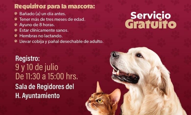 Campaña de esterilización