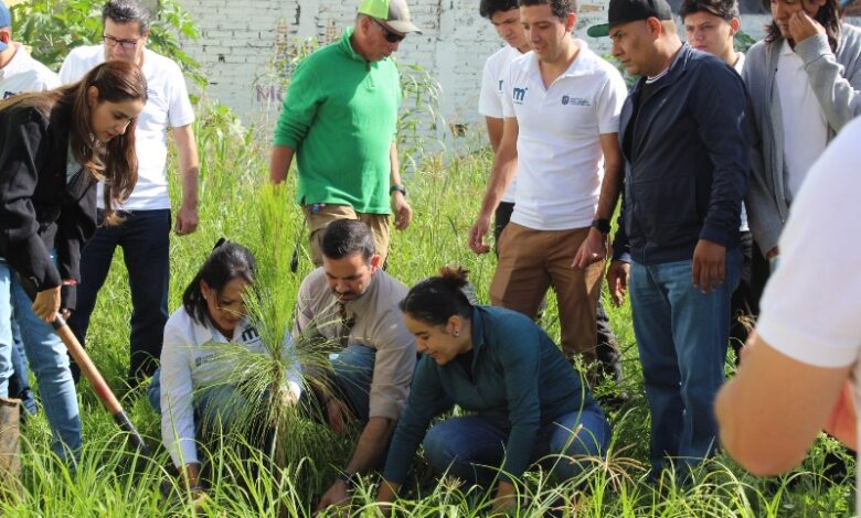 Reforestación Morelia