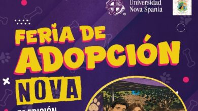 Feria de Adopción Nova, Morelia