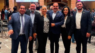 PRD Michoacán, Amalia Solórzano