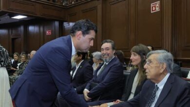Octavio Ocampo, Amalia Solórzano