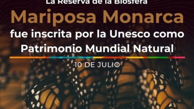 Mariposas Monarca