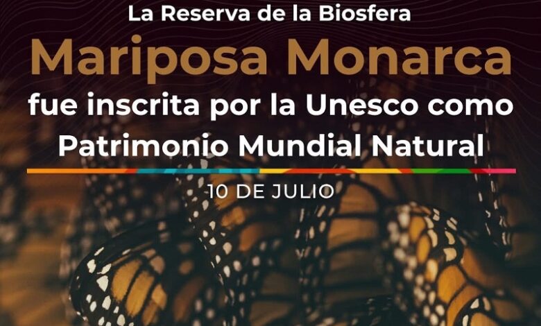 Mariposas Monarca