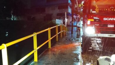 Bomberos estatales