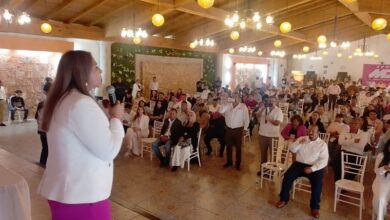 Somos México, Michoacán, Dirigencia estatal