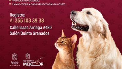 Michoacán, Esterilización, Mascotas, SSM