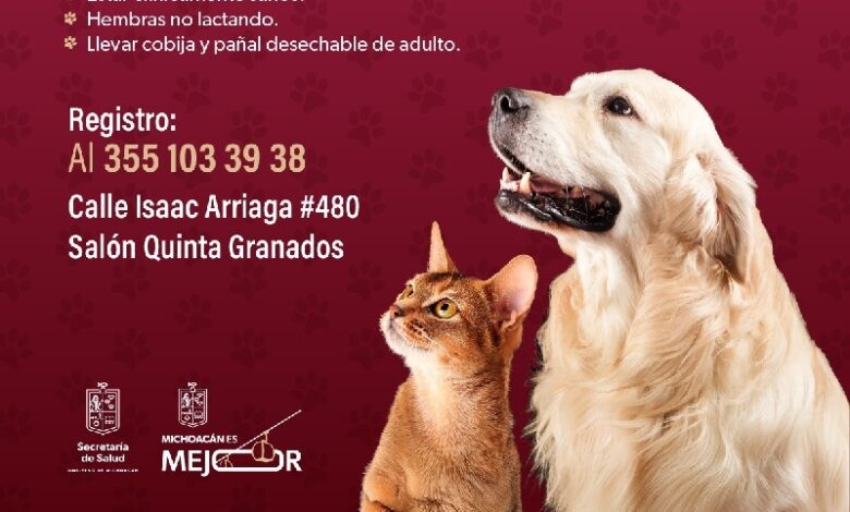 Michoacán, Esterilización, Mascotas, SSM
