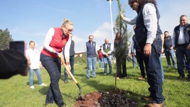 UMSNH, Reforestación