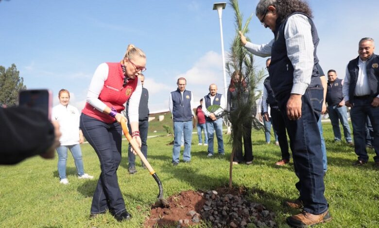 UMSNH, Reforestación