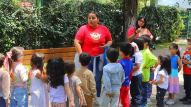 DIF Morelia, Ludoteca del Bosque, Curso de verano