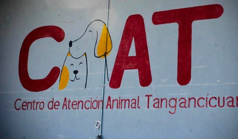 Mural del Centro de Atención Animal