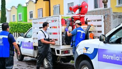 Morelia, dengue, fumigación