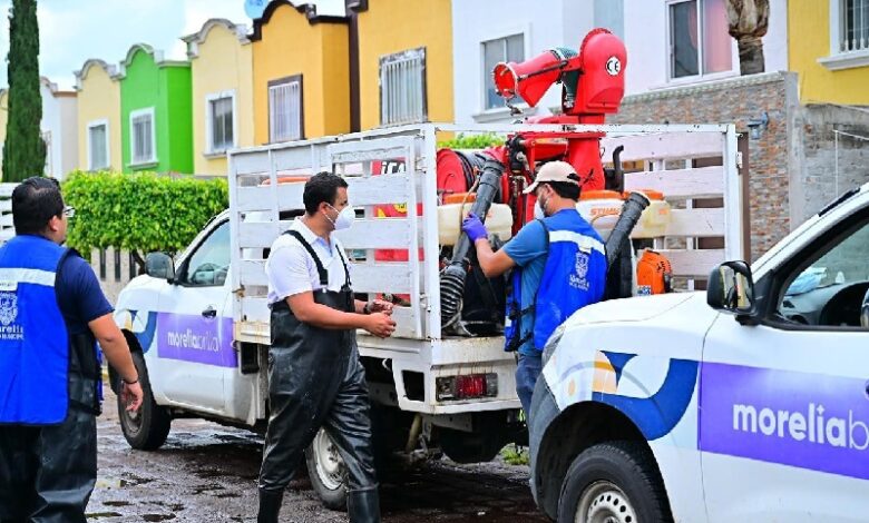 Morelia, dengue, fumigación