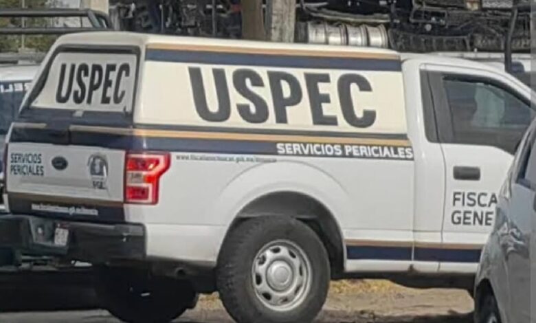 Apatzingán, restos humanos, homicidio