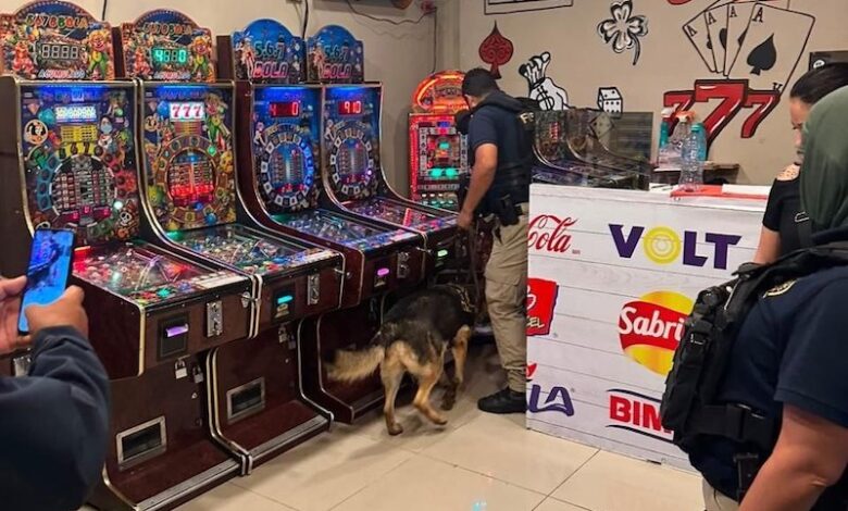 Máquinas tragamonedas aseguradas