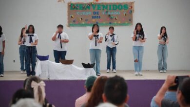 Curso de verano