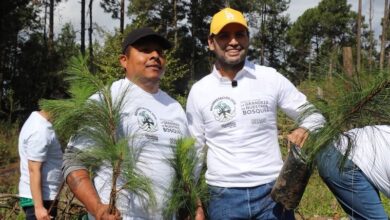 Octavio Ocampo en campaña de reforestación