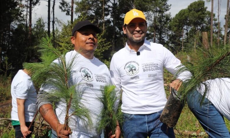 Octavio Ocampo en campaña de reforestación