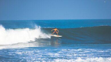 Recomendaciones vacacionales de la SSM