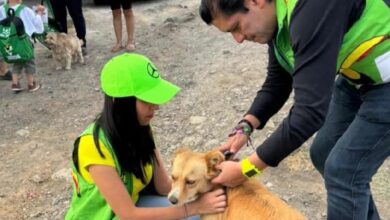 Bienestar animal en Michoacán