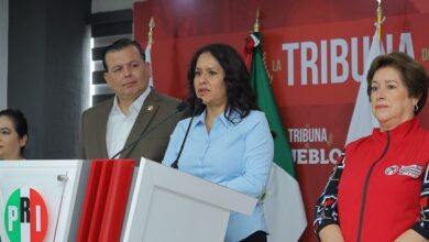 Resolución del TEEM por violencia política de género