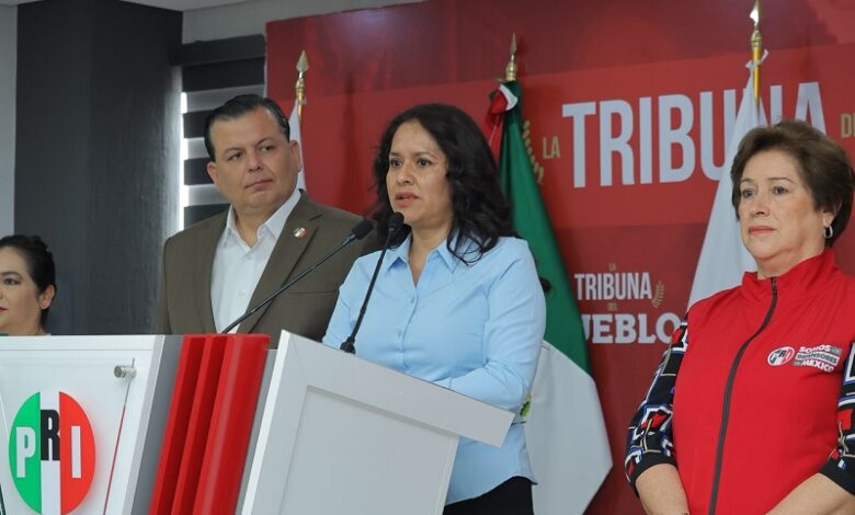 Resolución del TEEM por violencia política de género