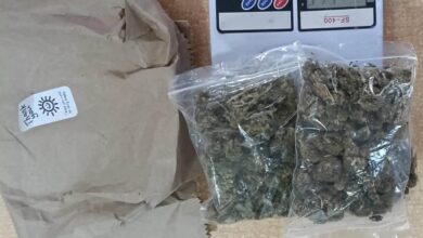 Aseguran marihuana en Morelia