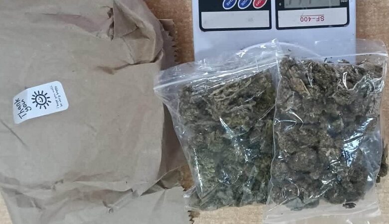Aseguran marihuana en Morelia