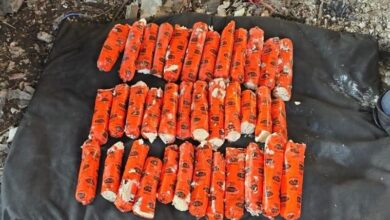 Hallazgo de material explosivo