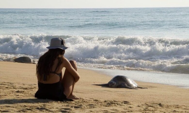 Playa michoacana